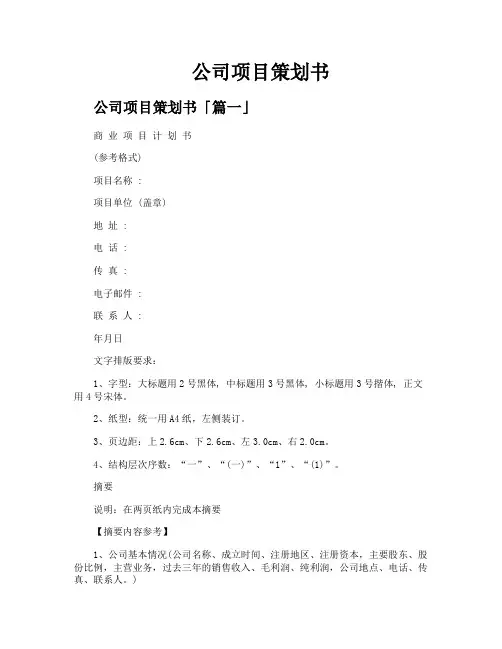 公司项目策划书