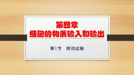 4.1 被动运输【课件】(人教版2019新教材)高中生物必修1