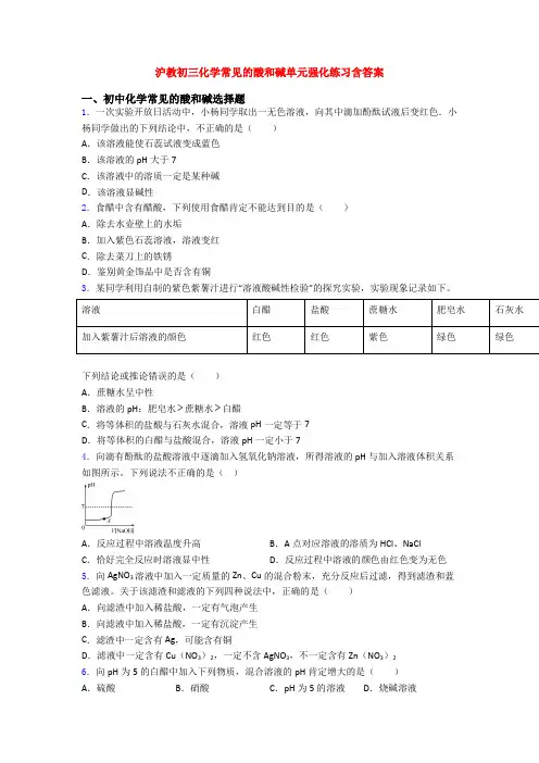 沪教初三化学常见的酸和碱单元强化练习含答案