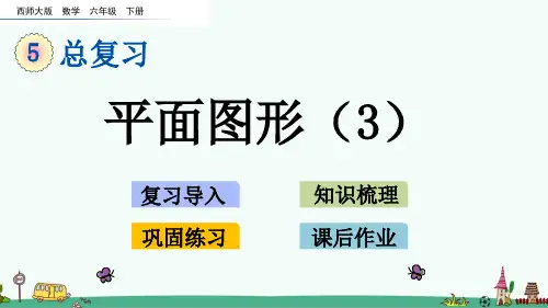 西师大版六年级数学下册第五单元 总复习《平面图形(3)》PPT课件