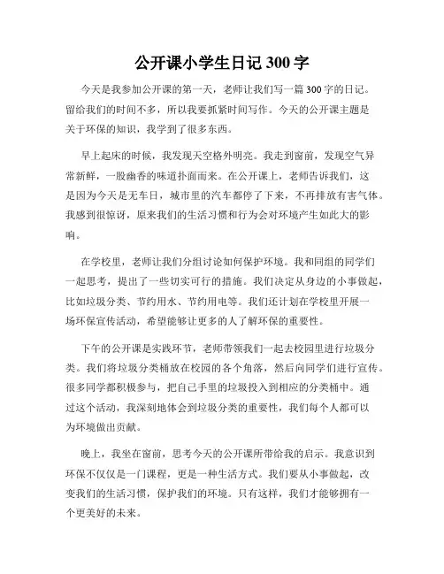 公开课小学生日记300字