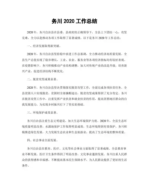 务川2020工作总结