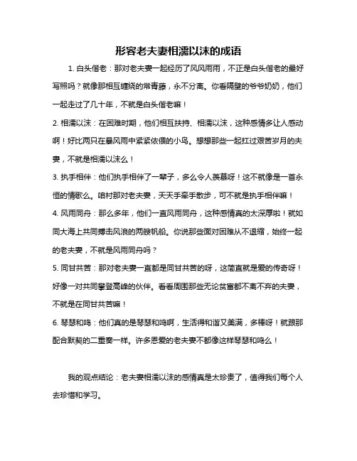 形容老夫妻相濡以沫的成语