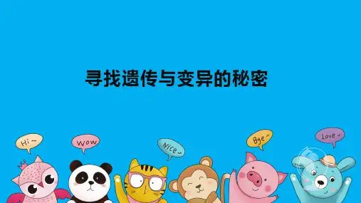科学苏教版六年级上册7寻找遗传与变异的秘密课件