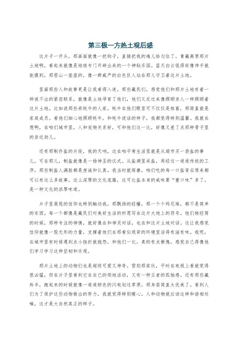 第三极一方热土观后感