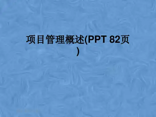 项目管理概述(PPT 82页)