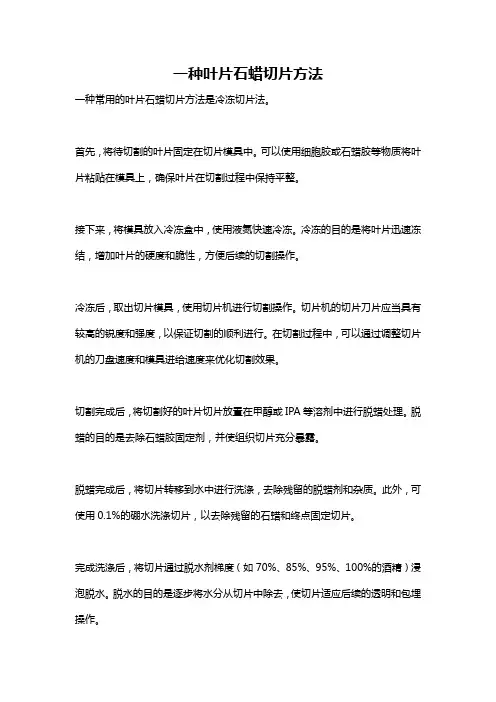 一种叶片石蜡切片方法