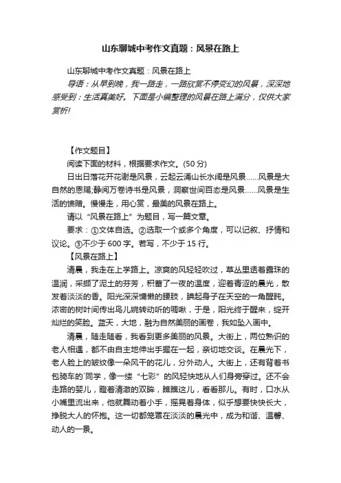 山东聊城中考作文真题：风景在路上