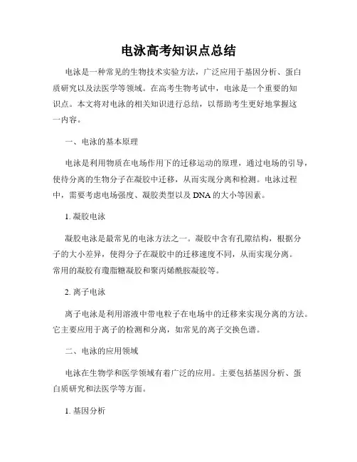 电泳高考知识点总结