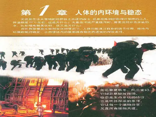 人教版生物必修三细胞生活的环境(24张)-PPT优秀课件