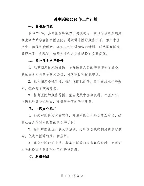县中医院2024年工作计划