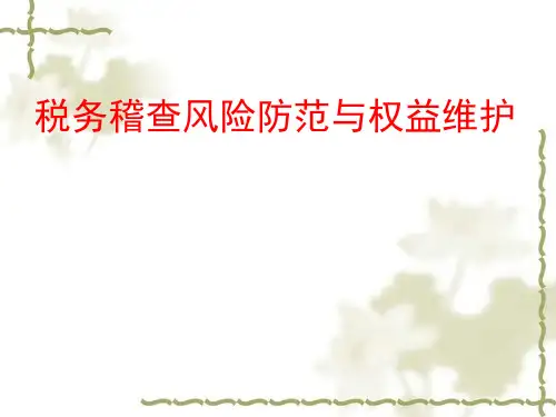 税务稽查应对及风险防范ppt课件