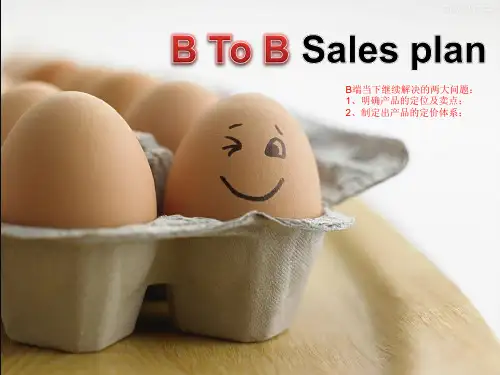 To B营销思路ppt课件
