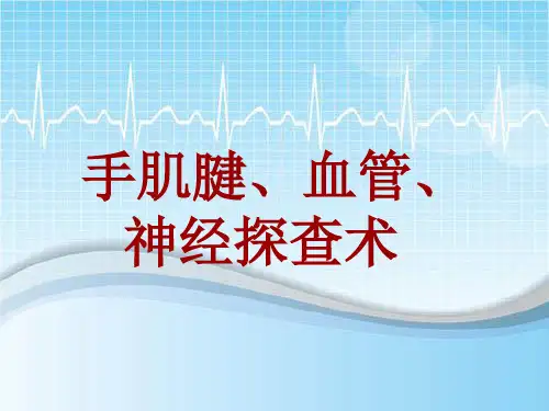 手术讲解模板：手肌腱、血管、神经探查术