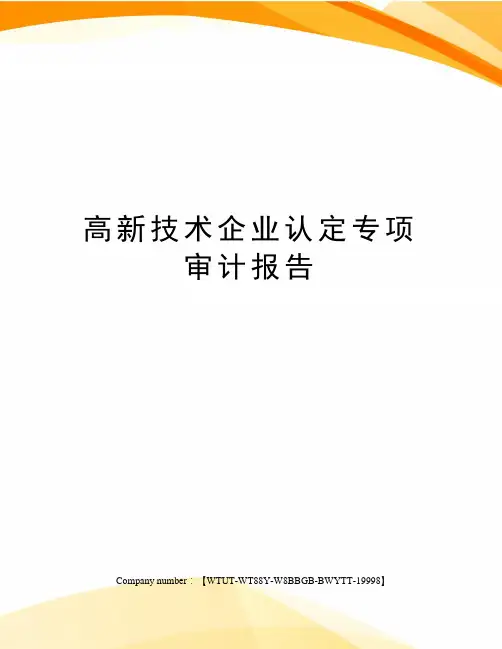 高新技术企业认定专项审计报告