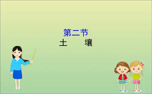 2021_2022学年新教材高中地理第五章植被与土壤5.2土壤课件新人教版必修1