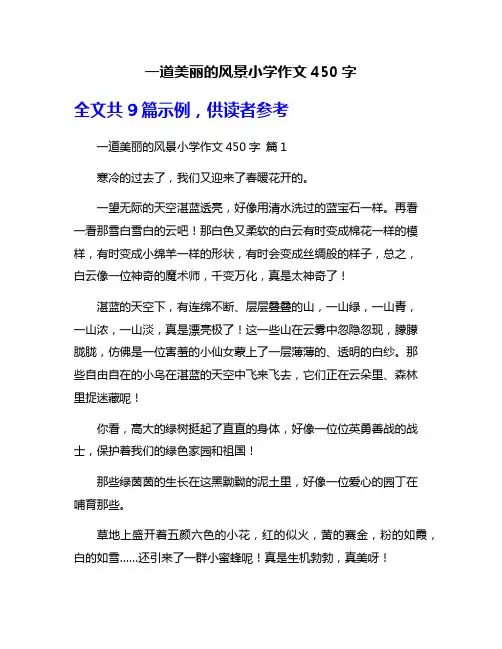 一道美丽的风景小学作文450字