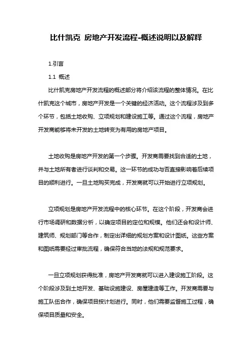 比什凯克 房地产开发流程-概述说明以及解释