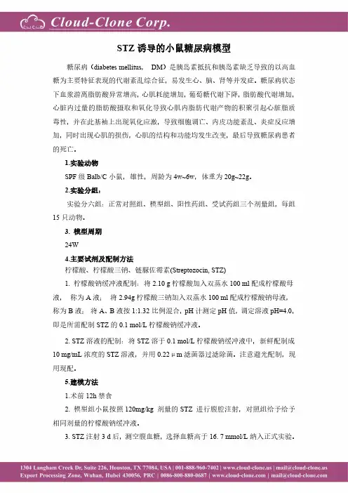STZ诱导的小鼠糖尿病模型