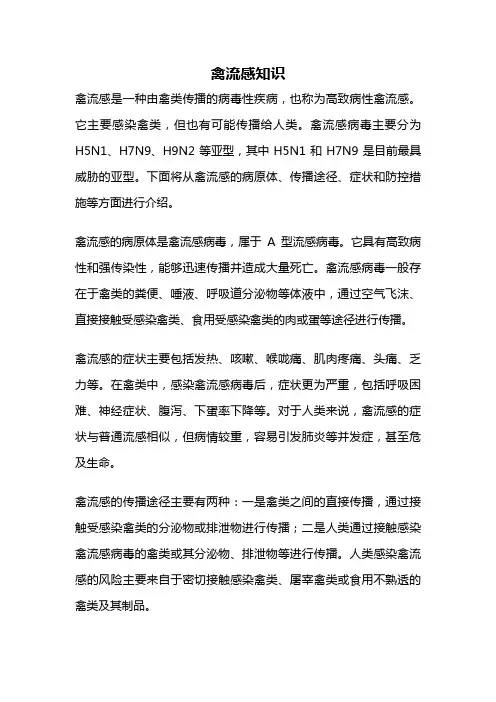 禽流感知识