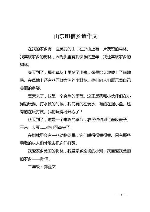 山东阳信乡情作文