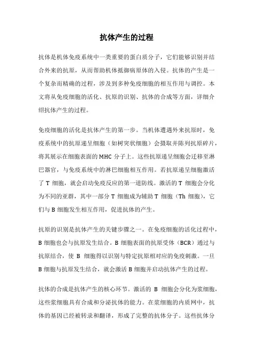 抗体产生的过程