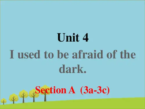 九年级英语全册Unit 4 Section A (3a-3c)