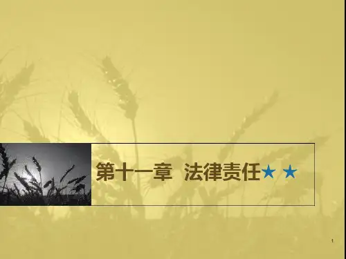 法理学 第十一章法律责任PPT课件