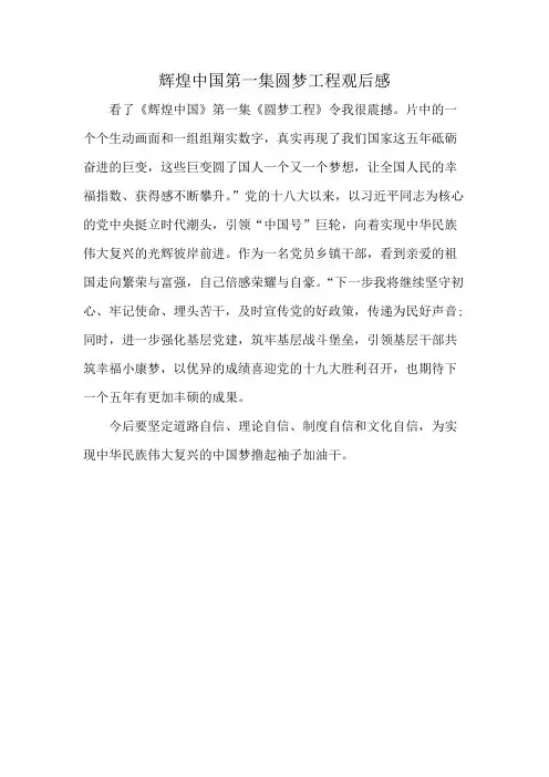 辉煌中国第一集圆梦工程观后感