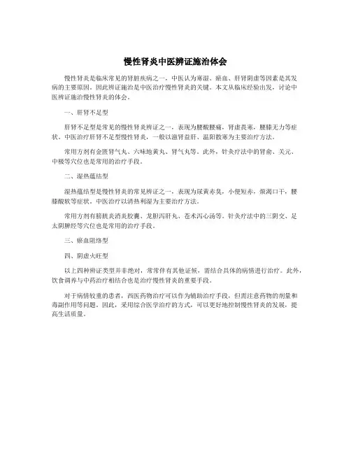 慢性肾炎中医辨证施治体会