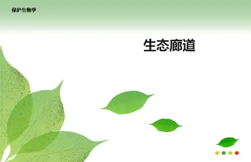 高中地理微专题--生态廊道