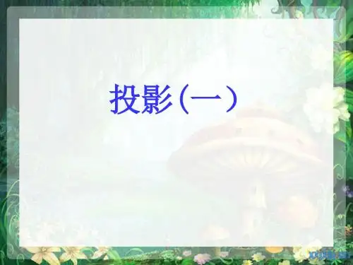 新北师大版初中数学九年级上册第5章 投影与视图《5.1投影》优质课件