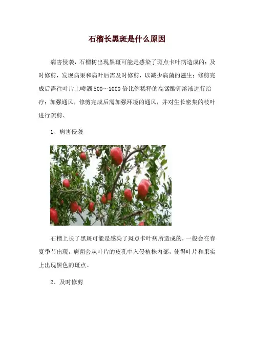 石榴长黑斑是什么原因