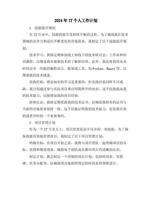 2024年IT个人工作计划