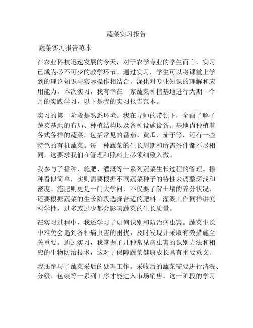 蔬菜实习报告