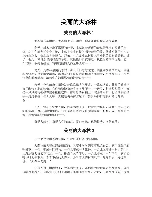 美丽的大森林
