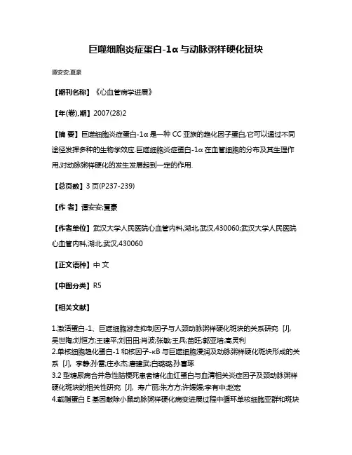 巨噬细胞炎症蛋白-1α与动脉粥样硬化斑块
