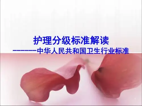 护理分级标准解读ppt课件