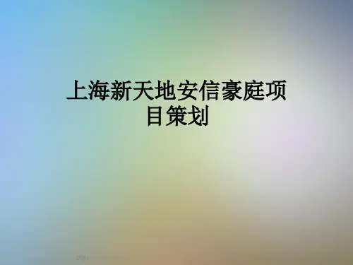 上海新天地安信豪庭项目策划