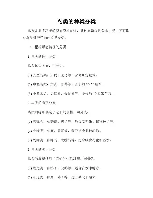 鸟类的种类分类