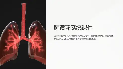 “肺循环系统课件”