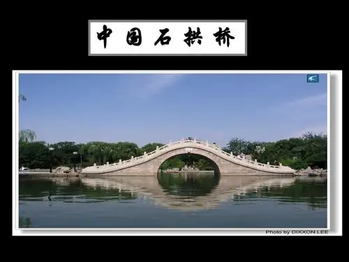 人教版八年级上册第三单元第11课：《中国石拱桥》——曹鹏