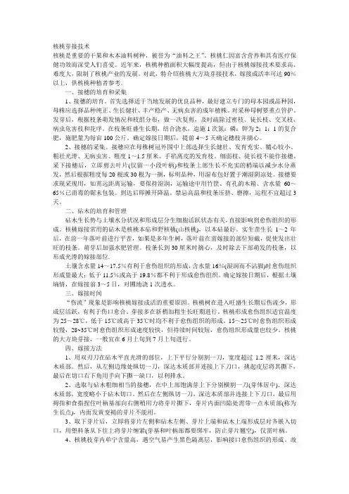 核桃大方块芽接技术