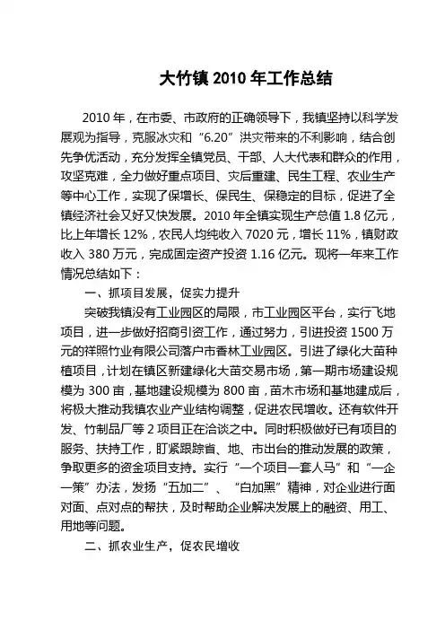 镇2010年工作总结