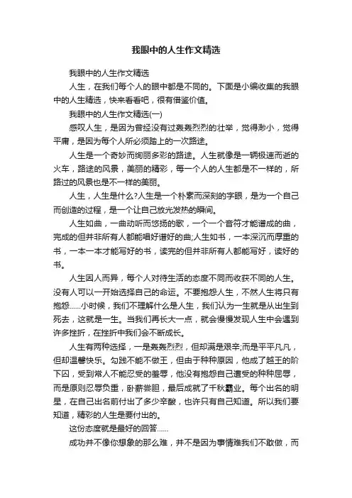 我眼中的人生作文精选