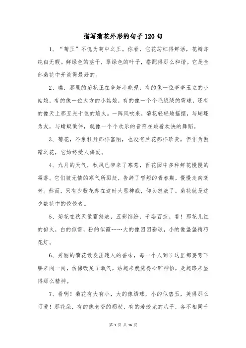 描写菊花外形的句子120句