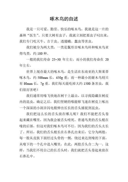 啄木鸟的自述