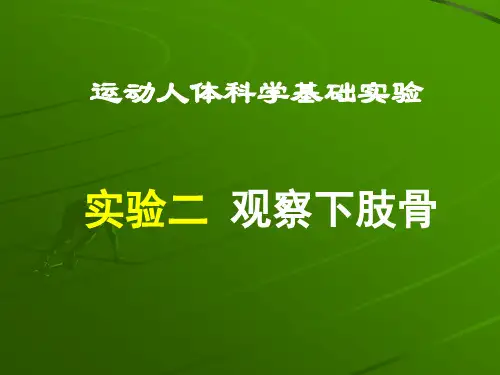 运动人体科学基础实验 观察下肢骨