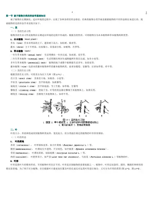 被子植物分类的形态学基础知识
