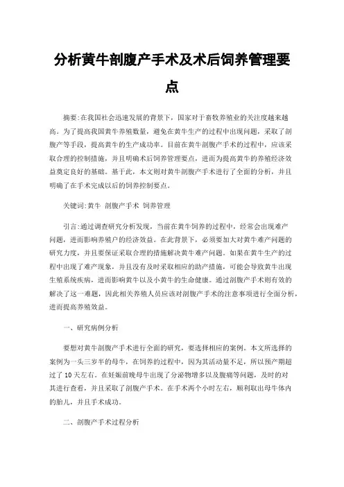 分析黄牛剖腹产手术及术后饲养管理要点